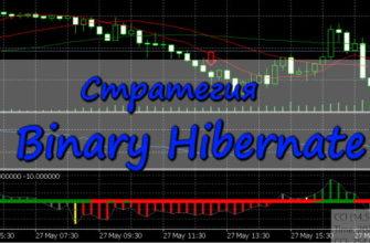 Стратегия binary hibernate