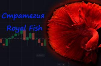 Простая стратегия бинарных опционов Fish