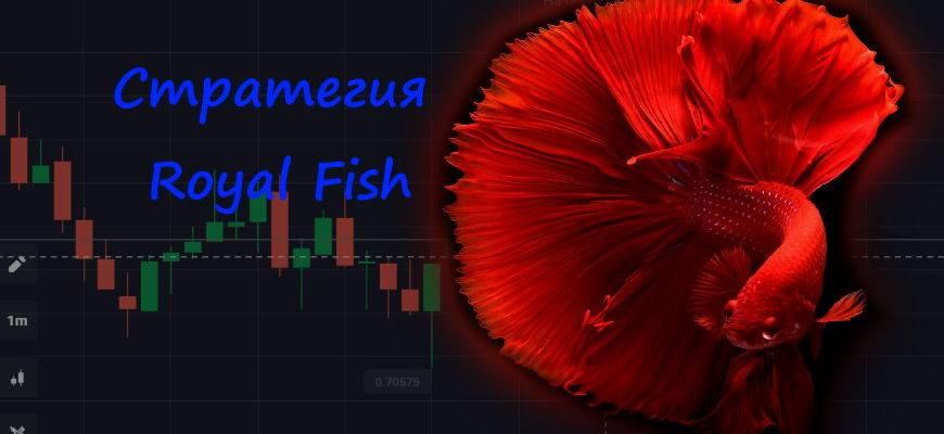Простая стратегия бинарных опционов Fish