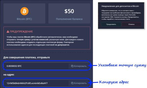 Копируем точную сумму BTC и адрес биткоина